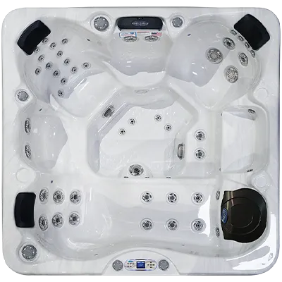 Avalon EC-849L hot tubs for sale in New York