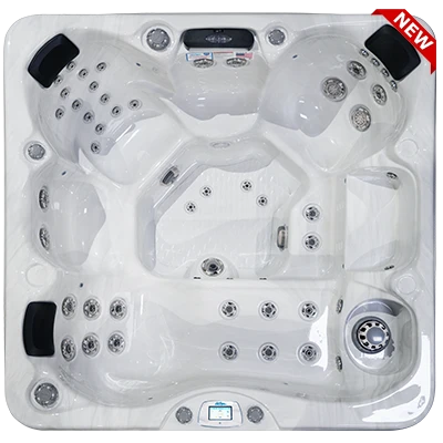 Avalon-X EC-849LX hot tubs for sale in New York