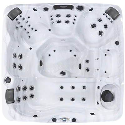 Avalon EC-867L hot tubs for sale in New York