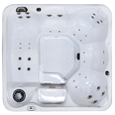 Hawaiian PZ-636L hot tubs for sale in New York